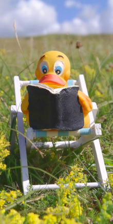 Quietscheente liest ein Buch (Deko)